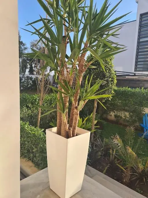 Magnifique Villa Avec Piscine Proche Des Plages Casablanca